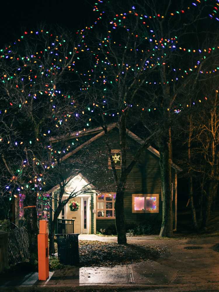 Christmas Lights Installation Home